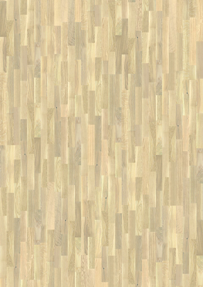 Tölgy Giant 17
