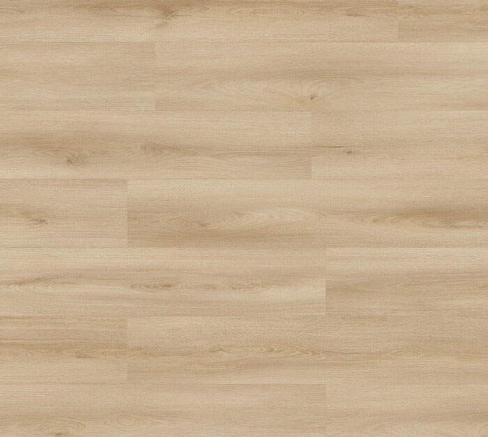 Ecru Cantal Oak laminált padló 8mm